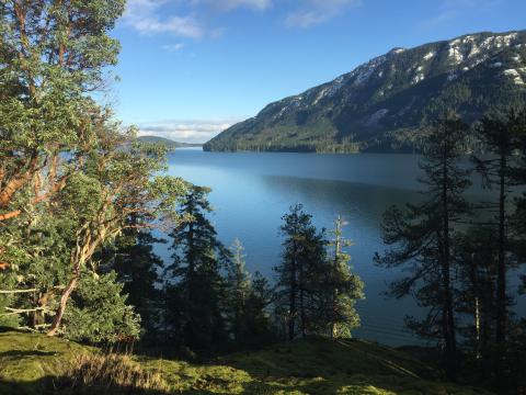 Comox Lake Bluffs